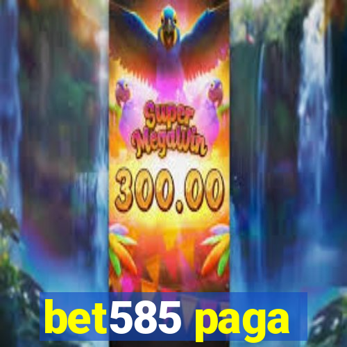 bet585 paga